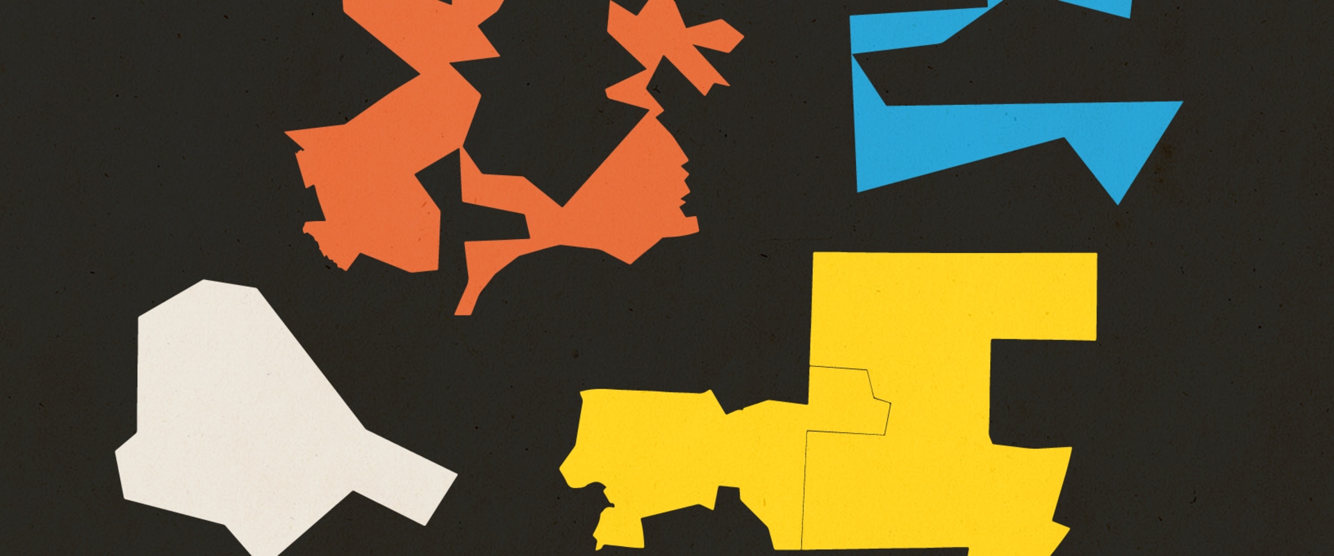 The Impact of Gerrymandering on Campaigns in Central Virginia: An Expert's Perspective
