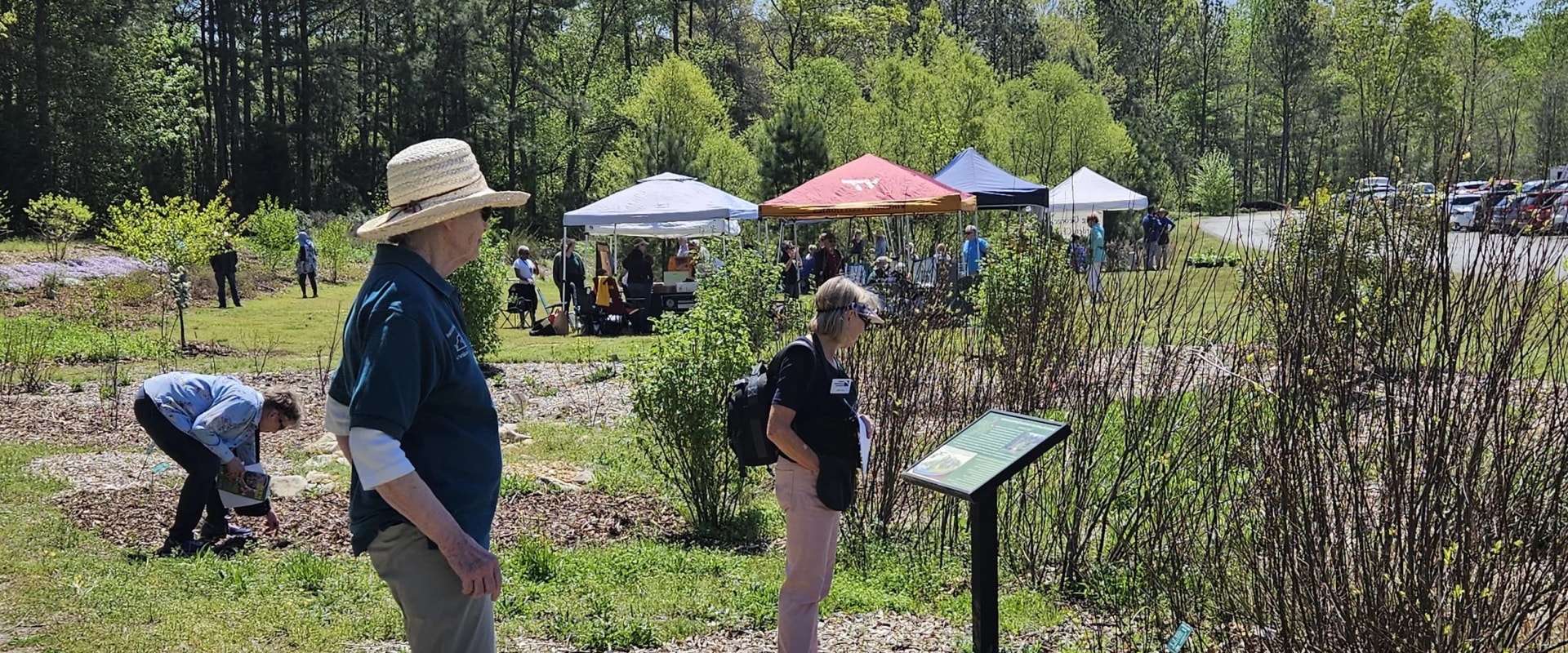 The Unique Aspects of Campaigns in Central Virginia: An Expert's Perspective
