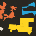 The Impact of Gerrymandering on Campaigns in Central Virginia: An Expert's Perspective
