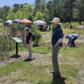 The Unique Aspects of Campaigns in Central Virginia: An Expert's Perspective