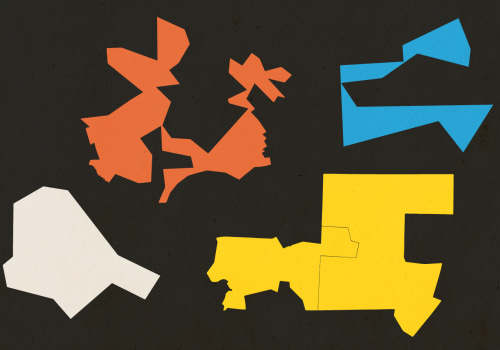 The Impact of Gerrymandering on Campaigns in Central Virginia: An Expert's Perspective