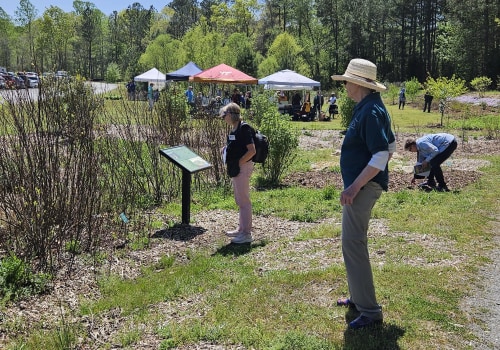 The Unique Aspects of Campaigns in Central Virginia: An Expert's Perspective